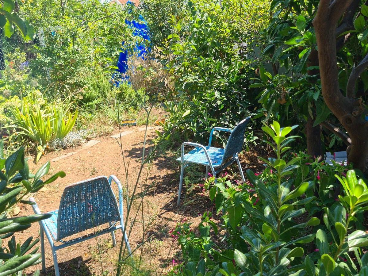 Studio Apartment Garden Dubrovnik Buitenkant foto